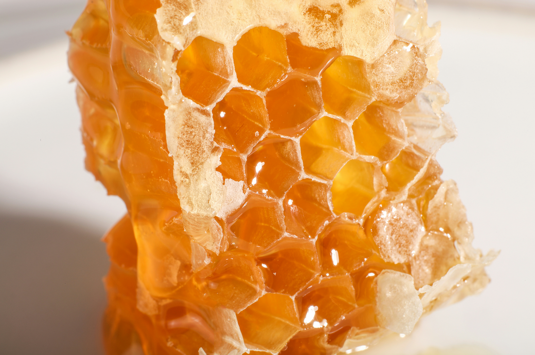Natural beeswax blocks and honeycomb