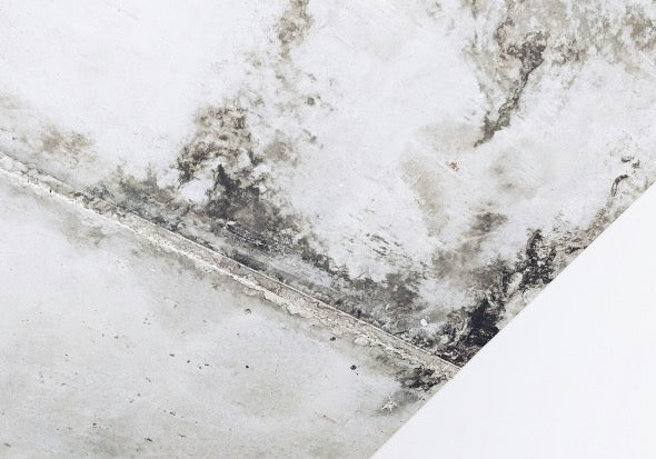 Mould growth on an indoor surface