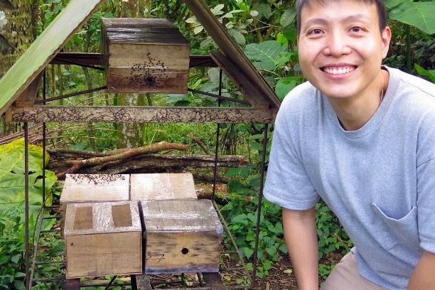Natural beeswax blocks and honeycomb