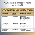 Trigona Propolis Extract dropper