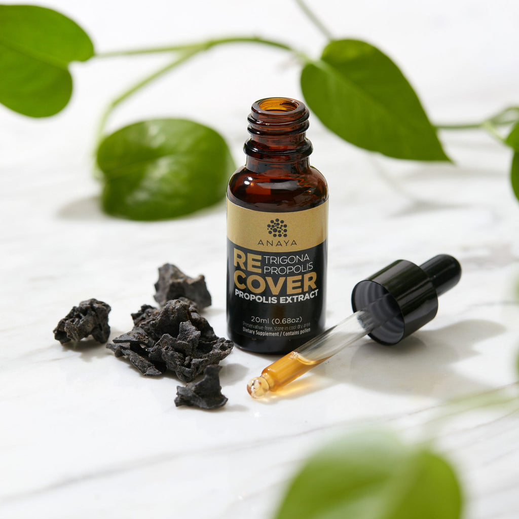 Trigona Propolis Extract detail