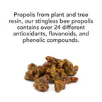 Trigona Propolis Extract 20ml