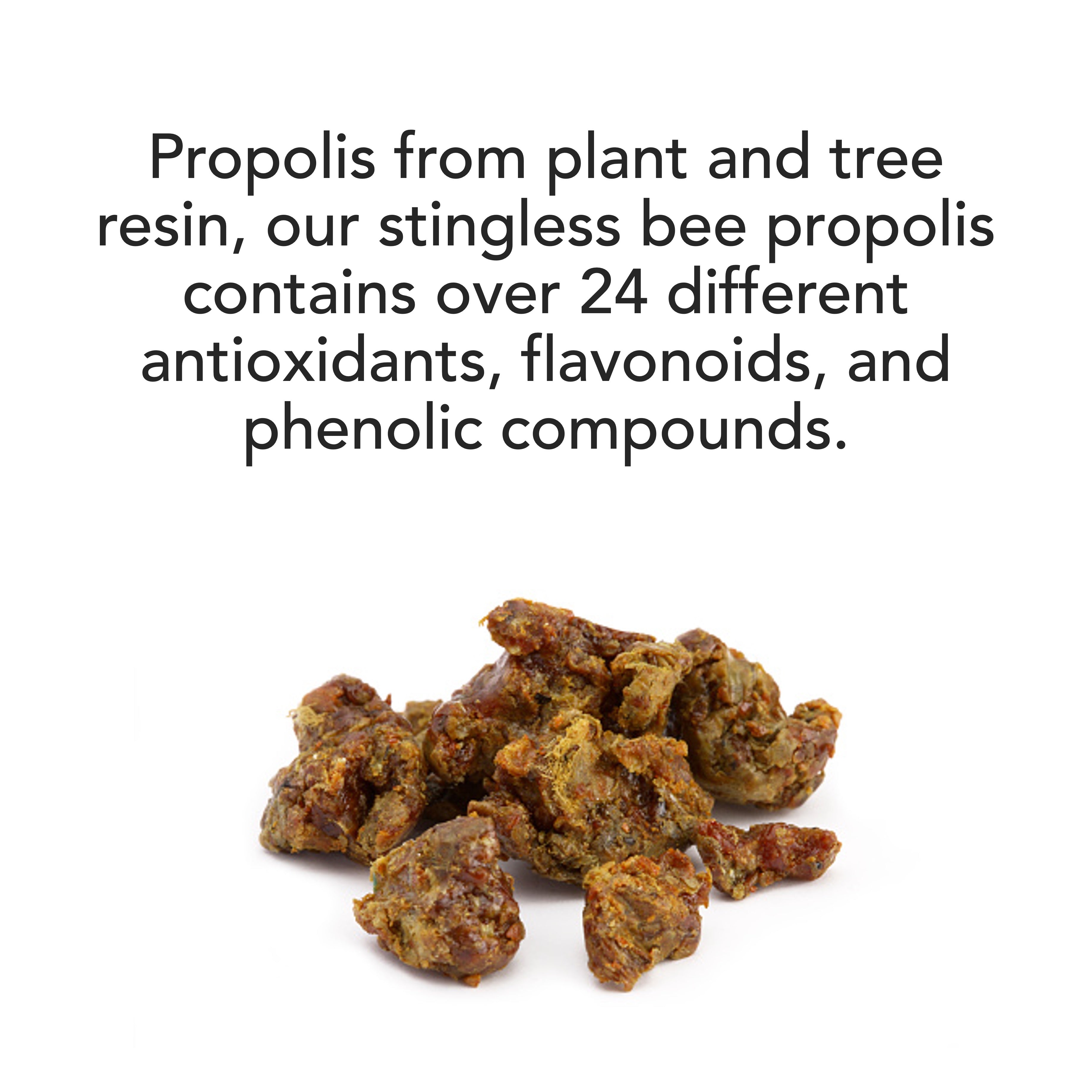 Trigona Propolis Extract 20ml
