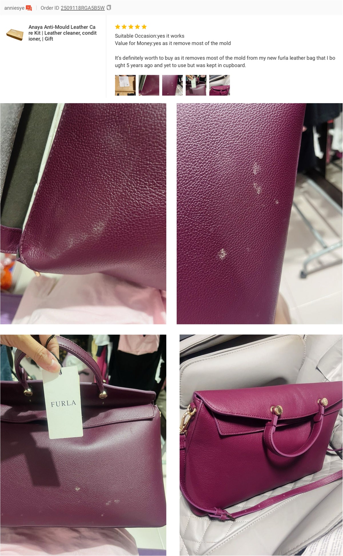 Anti-Mould Leather Care Kit