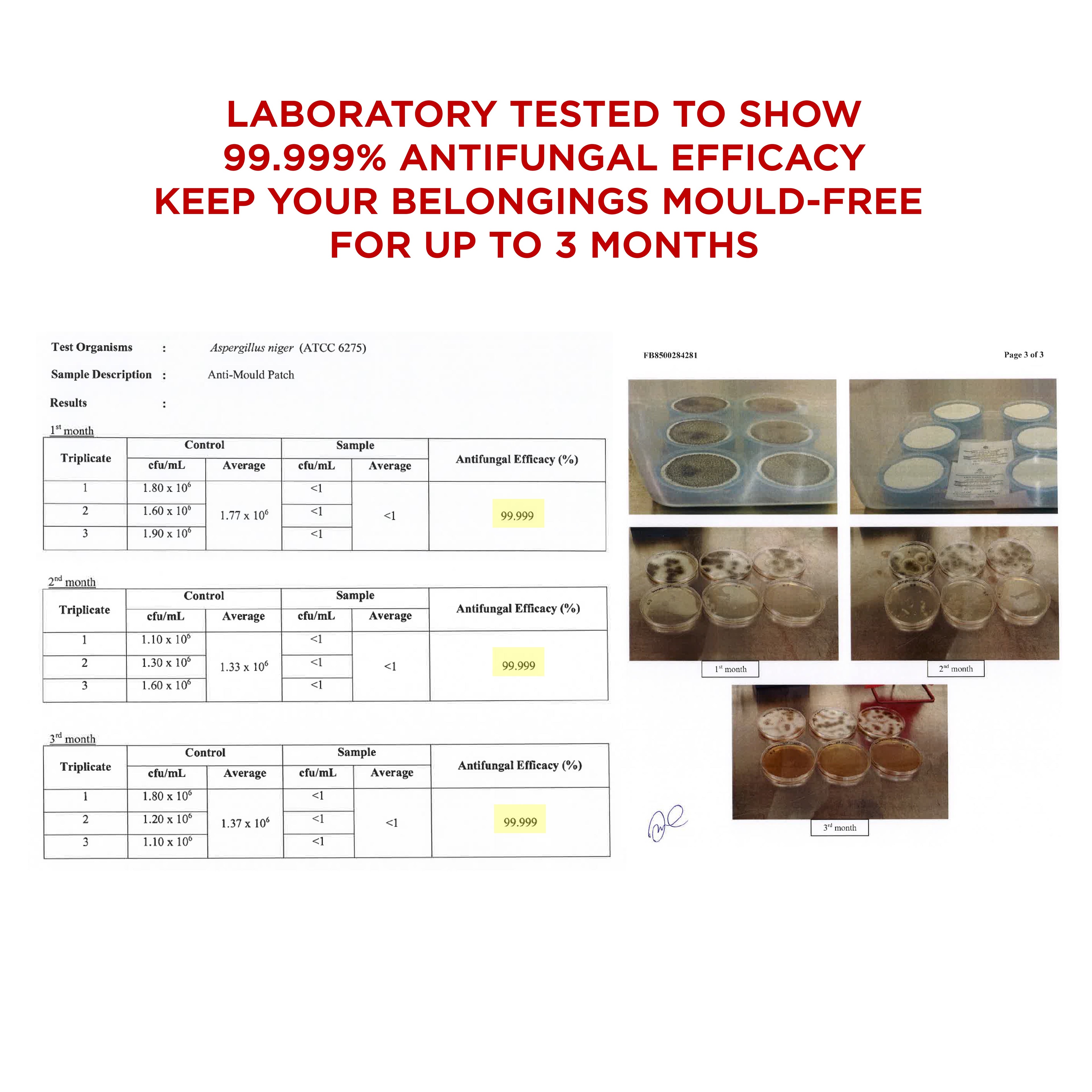 Anti-Mould Patches