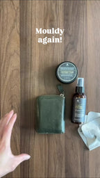 No-Mould Leather Cleaner