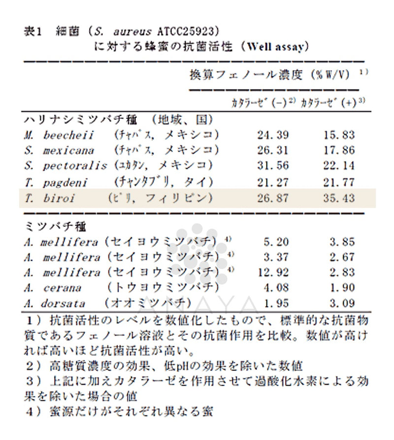 A scanned document page containing a well assay table in Japanese, comparing antibacterial activities of various bacterial strains against penicillin, with text headings and numerical data organized in tabular format.