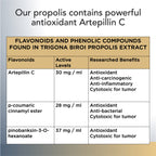 Trigona Propolis Spray 12ml